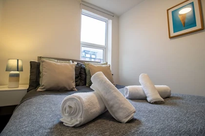 Entire fully furnished flat in Sunderland