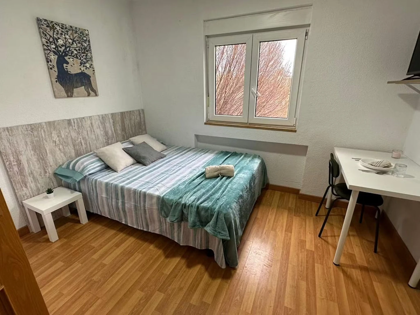 Cheap private room in alcala-de-henares