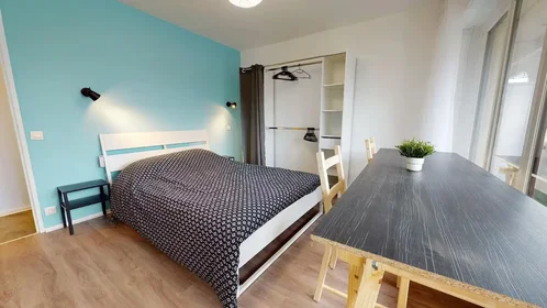 Chambre privée à Rue Professeur Patel, 9th Arrondissement, image 1 de 10