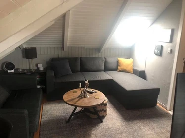 Moderne und helle Wohnung in Reykjavik