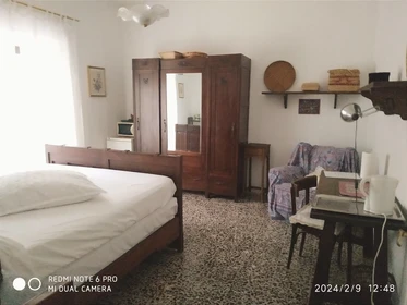 Bright private room in Pisa