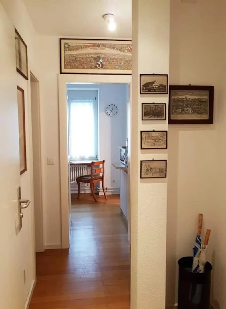 Accommodation with 3 bedrooms in Basel