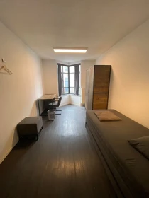 Habitación en alquiler con cama doble Bruxelles-brussel