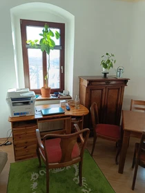 Room for rent with double bed Dresden