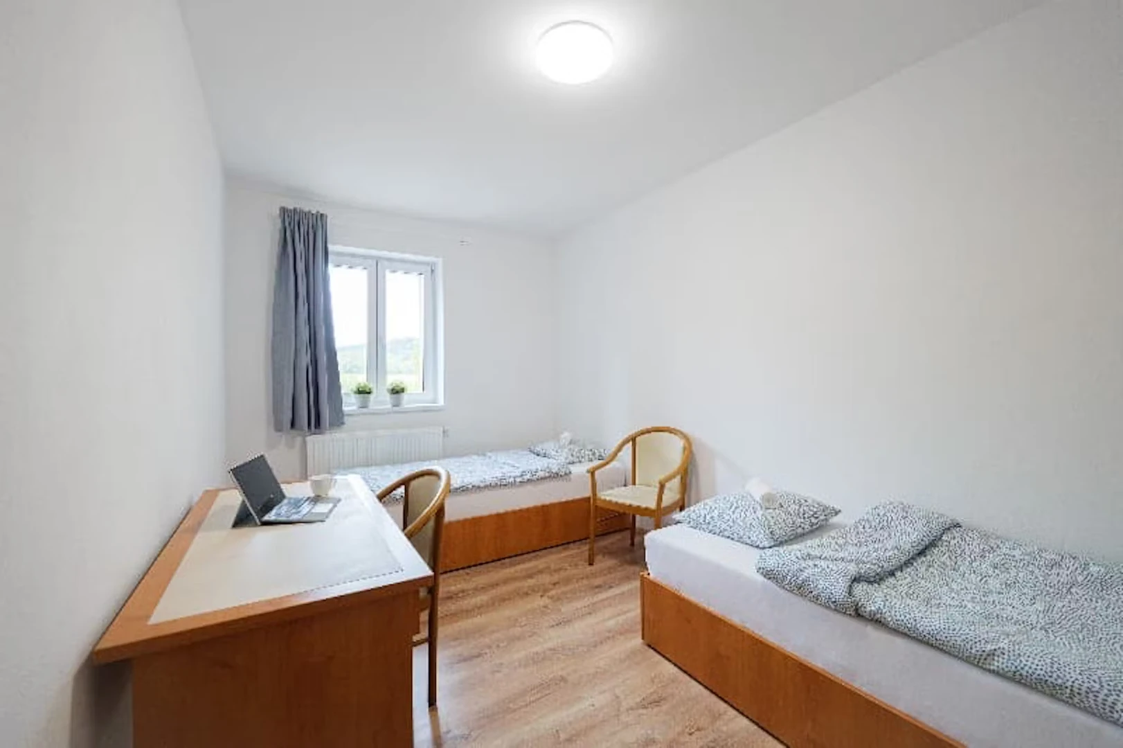 Zimmer mit Doppelbett zu vermieten Ostrau