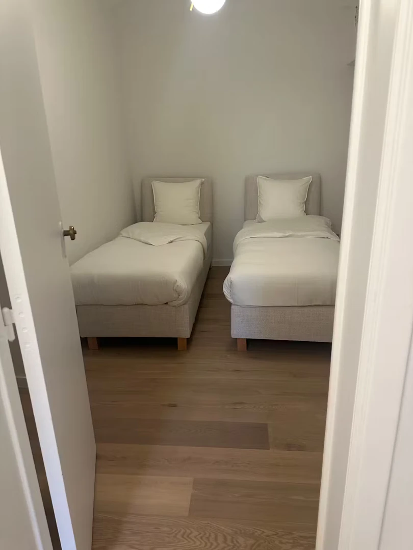 Alojamiento con 3 habitaciones en Gante
