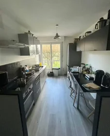 Habitación privada en Rennes, 35200, imagen 6 de 24