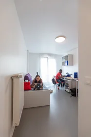 Stanza privata in residence in Maisons-Alfort, 94700, immagine 11 di 15