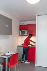 Stanza privata in residence in Maisons-Alfort, 94700, immagine 9 di 15