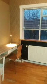 Prywatny pokój Guðrúnargata, Reykjavik, obraz 2 7