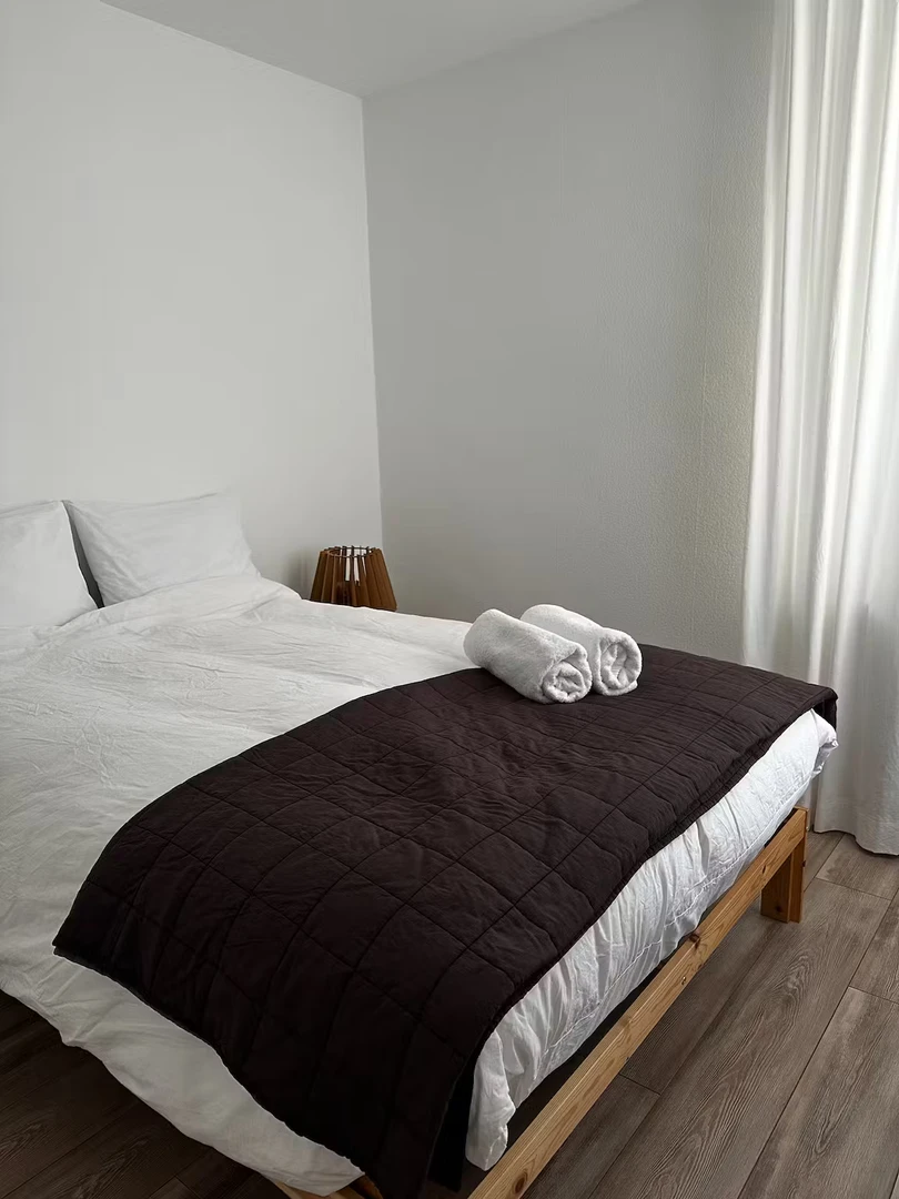 Habitación en alquiler con cama doble Maastricht