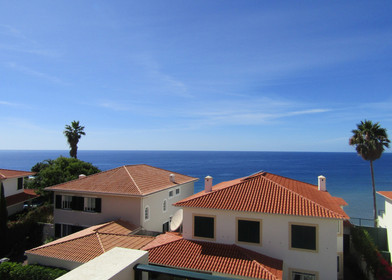 Alojamento com 3 quartos em Madeira