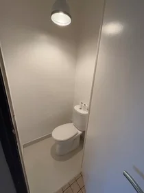 Entire apartment at Boulevard Albert 1er, Boudonville/Scarpone/Libération, image 6 of 6