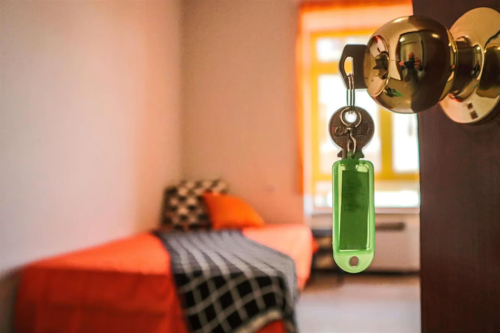 Chambre confortable pour étudiants disponible dans