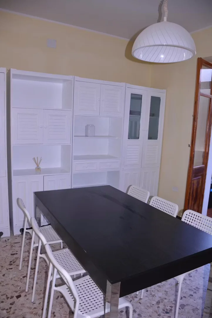 Affordable room for students with ample lighting in 