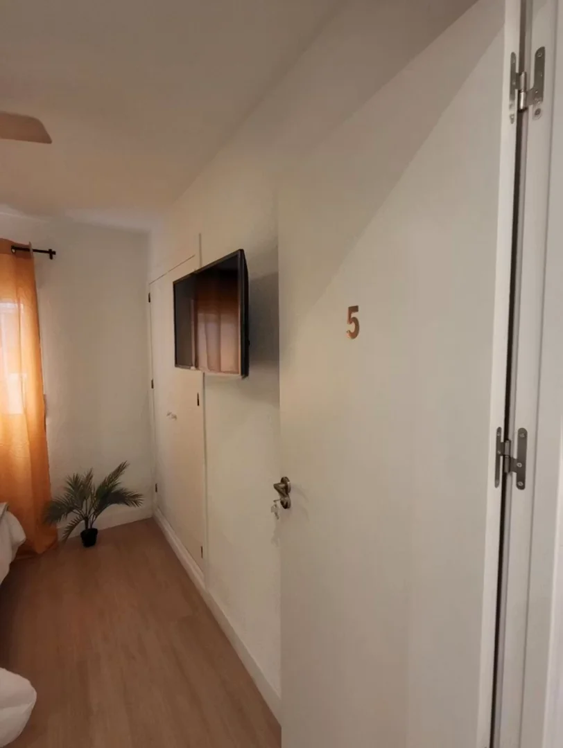 Chambre confortable pour étudiants disponible dans