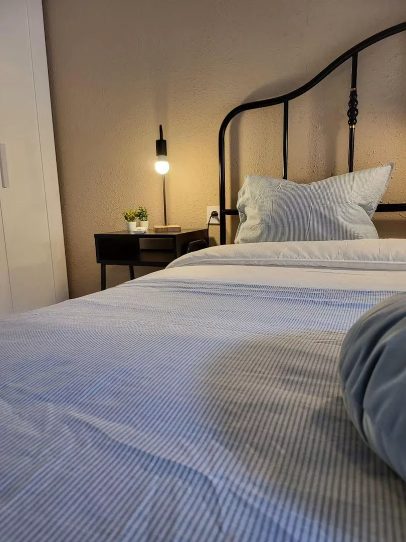 Chambre d'étudiant confortable et spacieuse dans