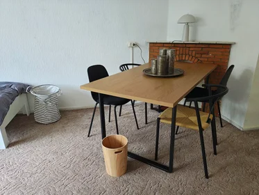 Habitación privada en Burggravenlaan, Burgemeesters-en Professorenwijk, imagen 1 de 9
