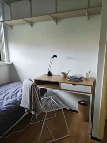 Quarto privado em Burggravenlaan, Burgemeesters-en Professorenwijk, imagem 2 de 6