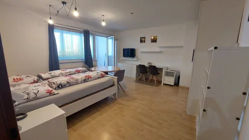 Apartamento inteiro em Larnhauserweg, Haag, imagem 1 de 10