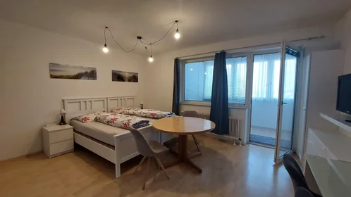 Apartamento inteiro em Larnhauserweg, Haag, imagem 2 de 10