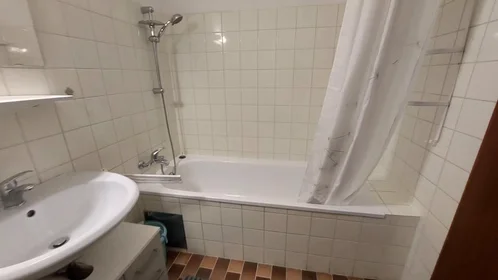 Apartamento inteiro em Larnhauserweg, Haag, imagem 7 de 10