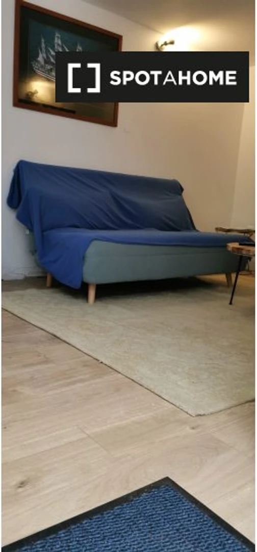 Pokój do wynajęcia z podwójnym łóżkiem w Tuluza