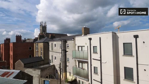 Stanza privata in Blessington St, immagine 15 di 19