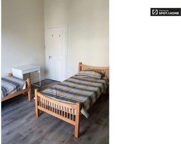 Room for rent in a shared flat in Dublin