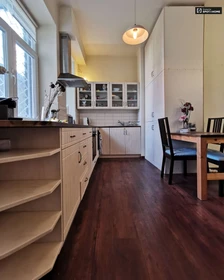 Entire fully furnished flat in Budapest