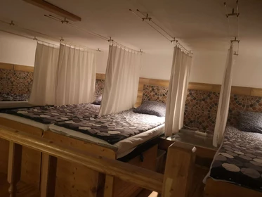 Chambre à louer dans un appartement en colocation à Budapest
