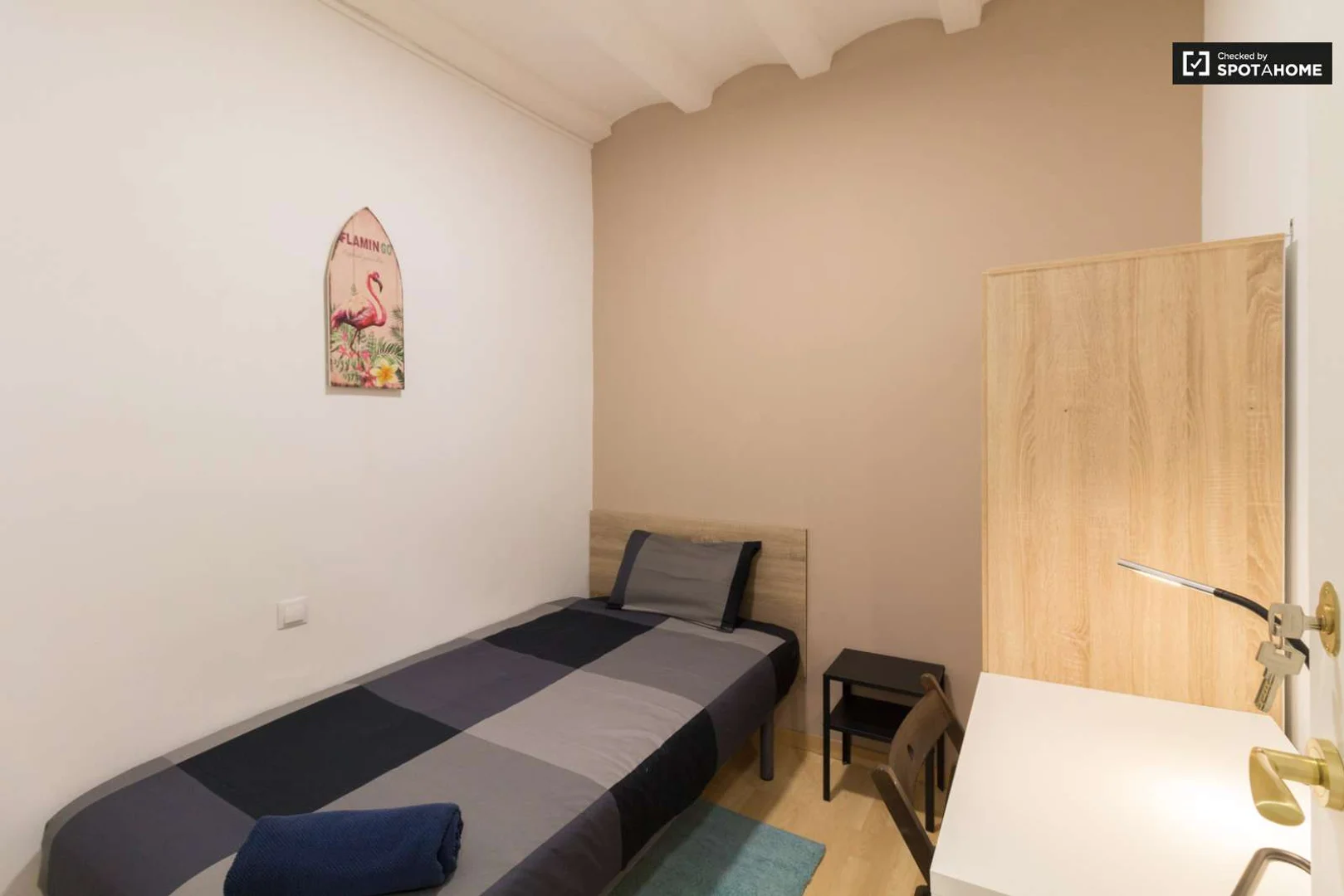 Stanza economica per studenti con ampia illuminazione in 