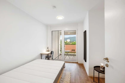 Renting rooms by the month in Graz