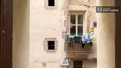 Private room at Carrer de Corretger, image 19 of 19