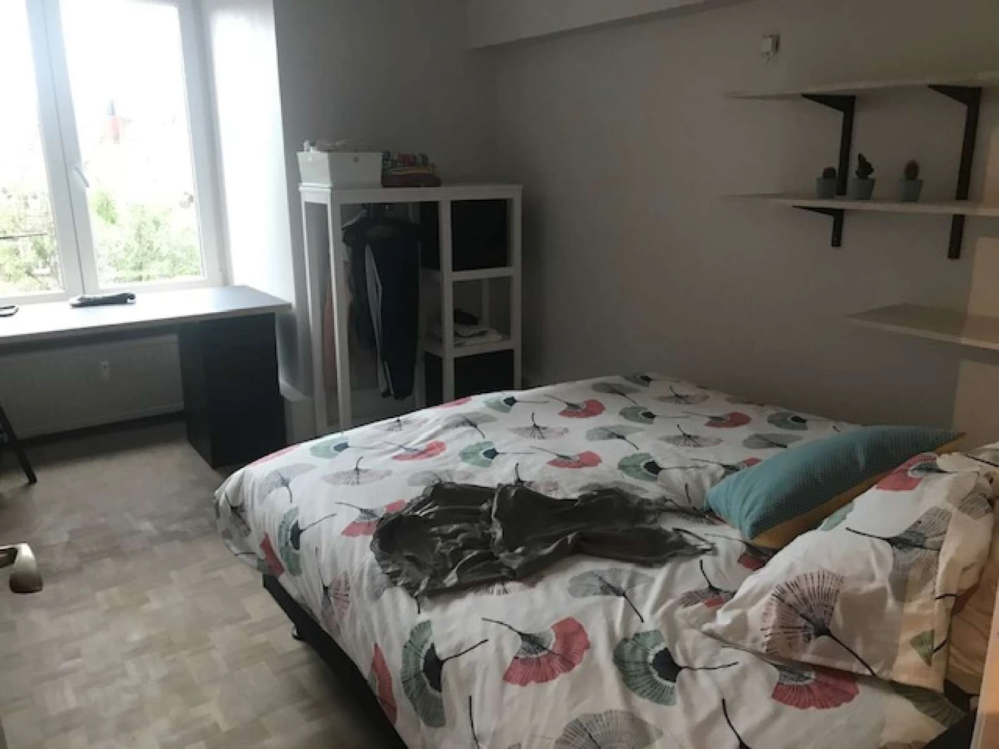 Cheap private room in gent