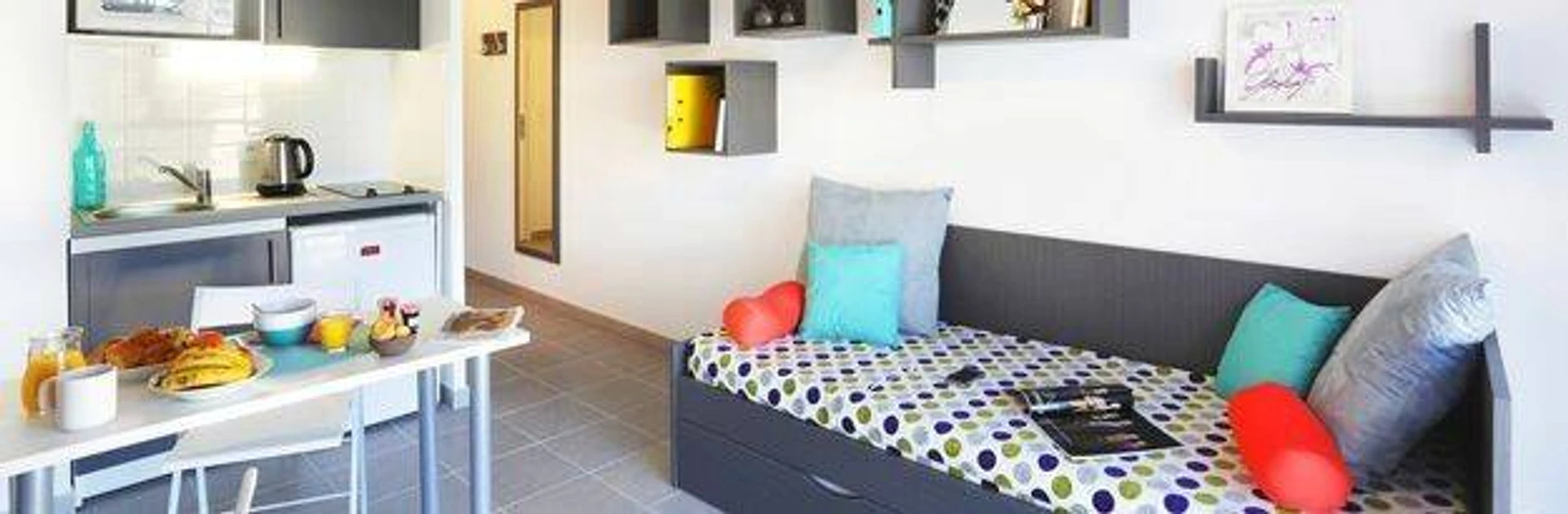 Aix-en-provence de çift kişilik yataklı kiralık oda