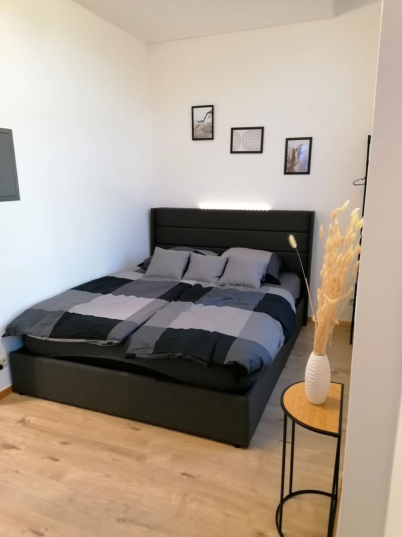 Cheap private room in Mannheim