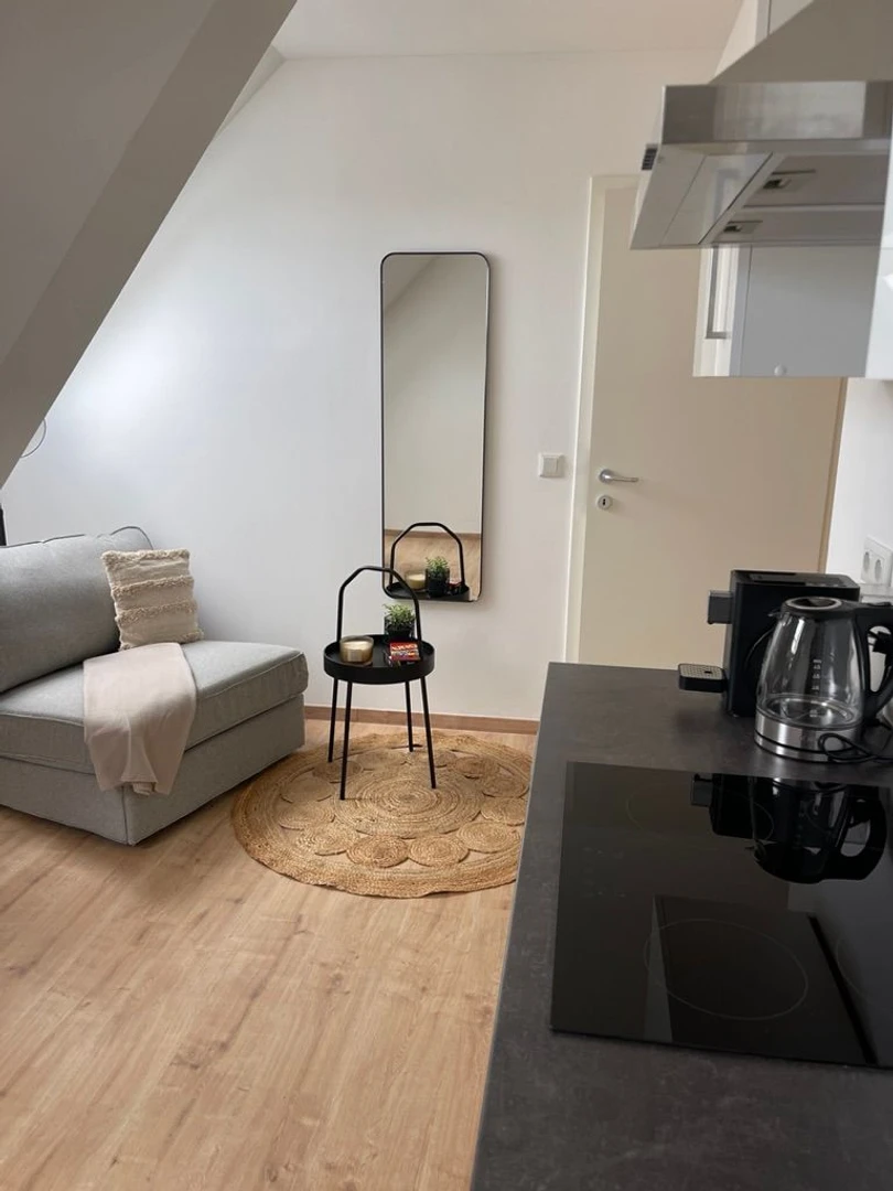 Renting rooms by the month in Klagenfurt