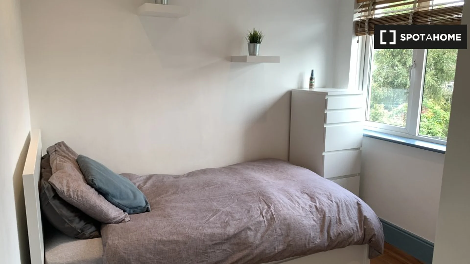 Quarto acolhedor para estudantes disponível em 