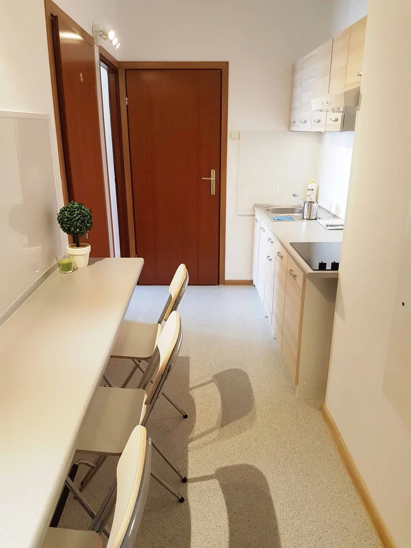 Affordable room for students with ample lighting in 