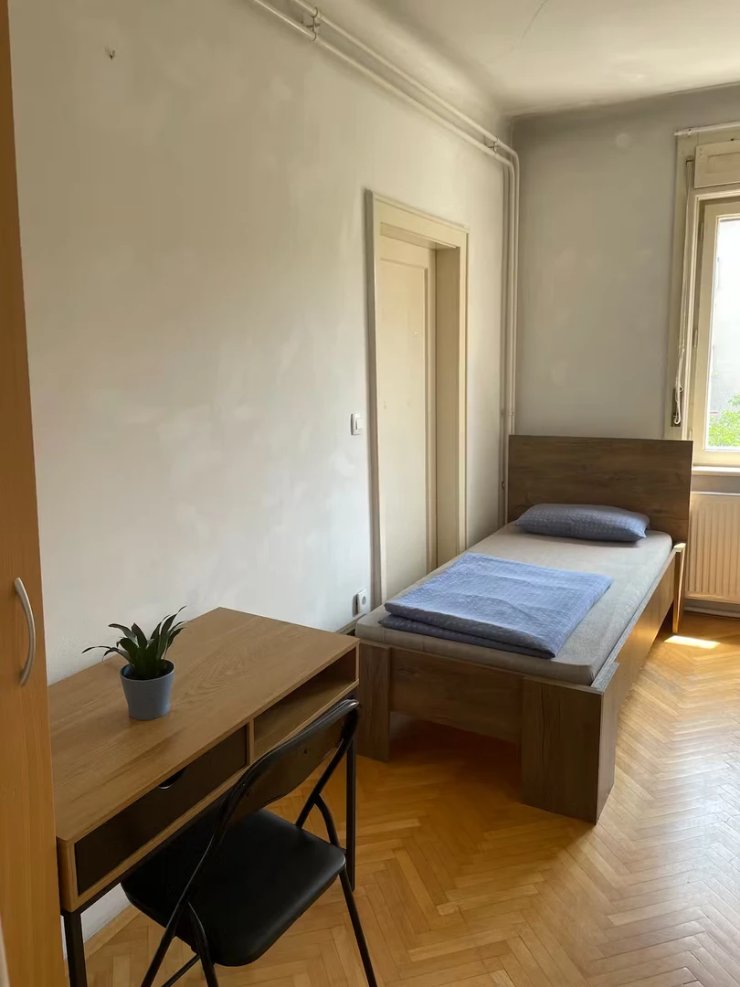 Wspólny pokój z innym studentem w Lublana