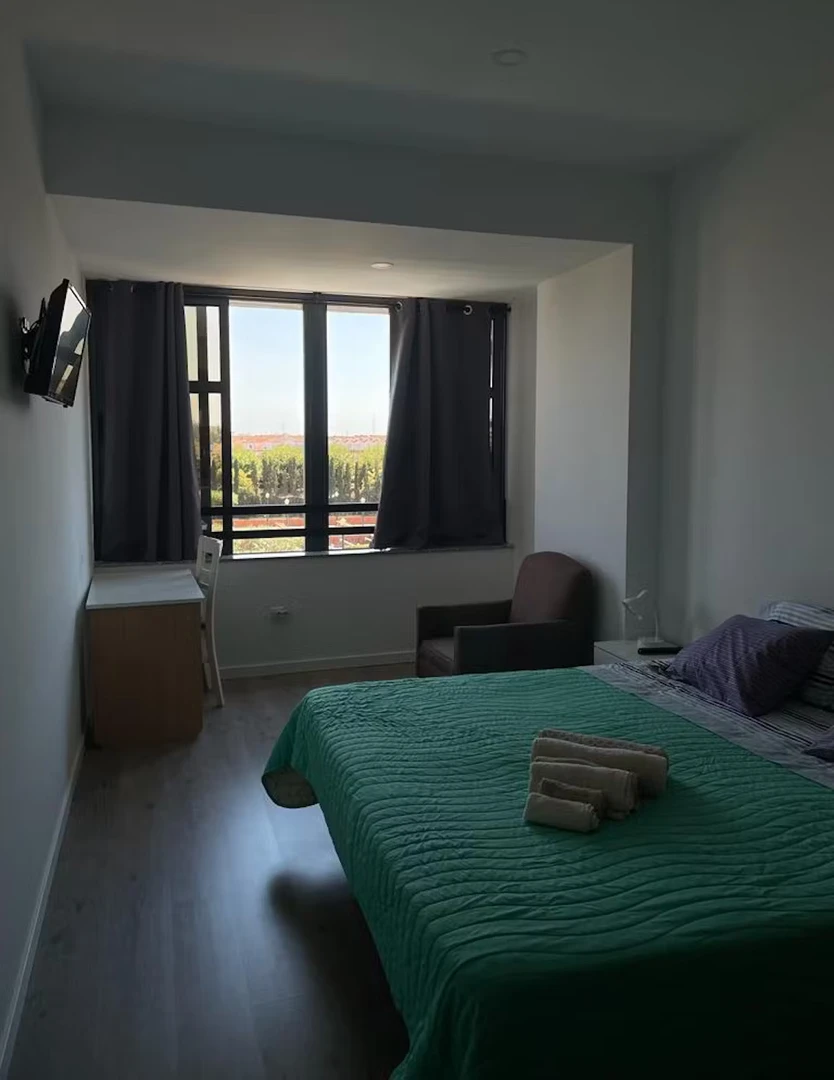 Modern and bright flat in Aveiro