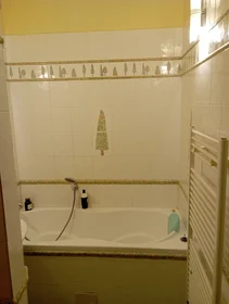 Entire apartment at Mlynárska, image 12 of 12