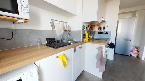 Quarto privado em Boulevard de Larramet, Fontaine Lestang-Bagatelle-Papus, imagem 10 de 10