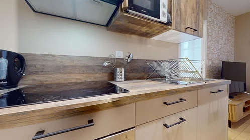 Privatzimmer in der 51 Rue du Professeur Paul Sisley, bild 2 von 22
