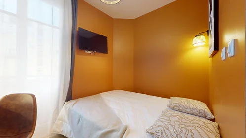 Chambre privée à 51 Rue du Professeur Paul Sisley, image 14 de 22