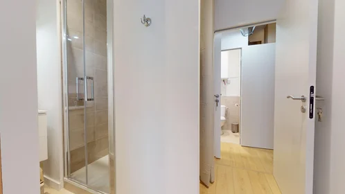 Chambre privée à 51 Rue du Professeur Paul Sisley, image 17 de 22