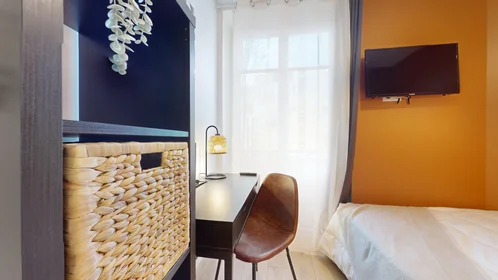 Chambre privée à 51 Rue du Professeur Paul Sisley, image 18 de 22
