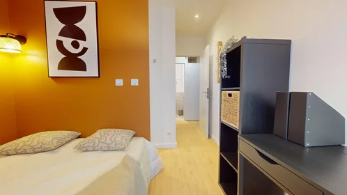 Chambre privée à 51 Rue du Professeur Paul Sisley, image 19 de 22