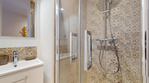 Chambre privée à 51 Rue du Professeur Paul Sisley, image 20 de 22